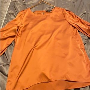 Dress or long blouse perfect for Fall.